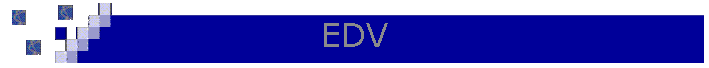 EDV